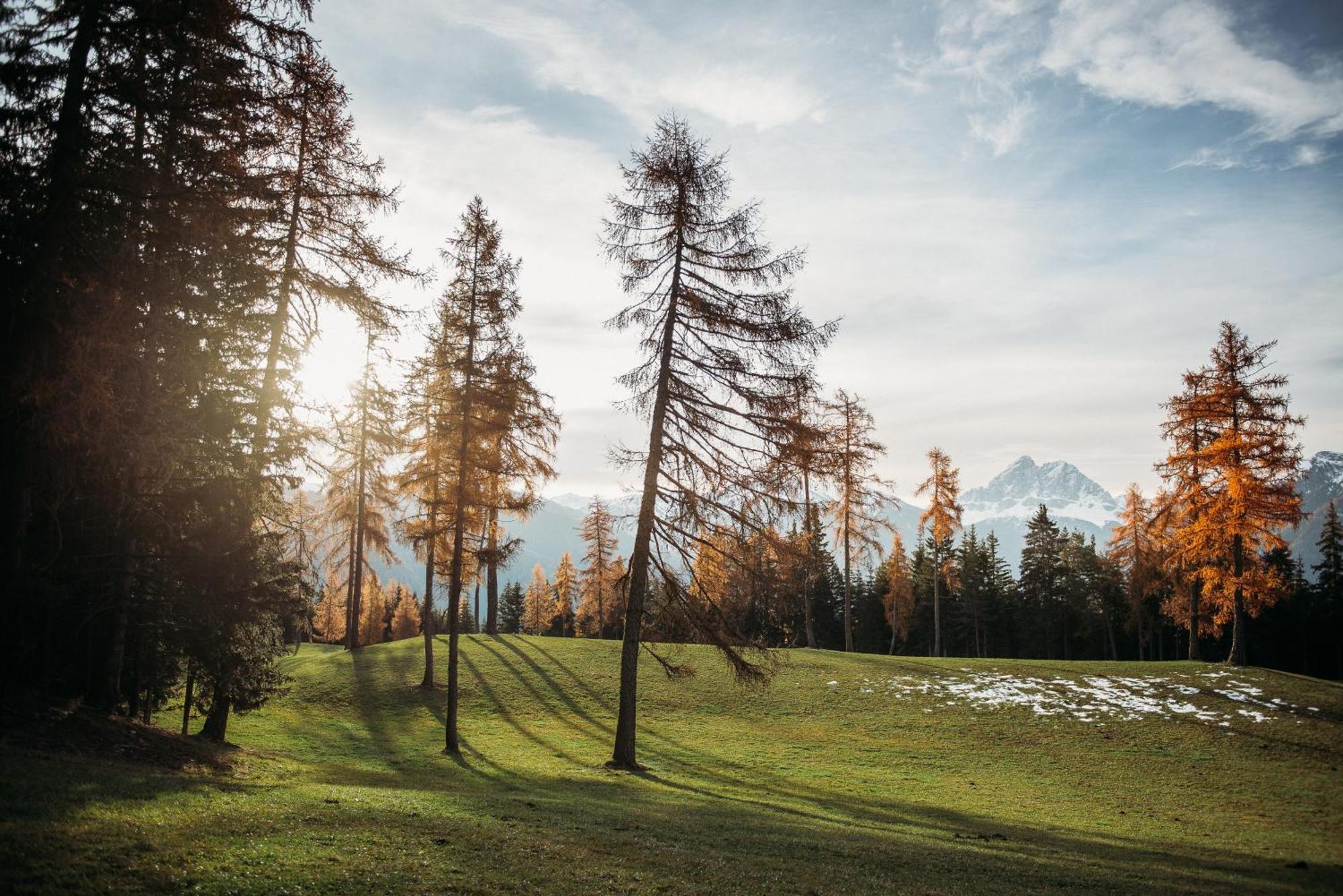 Oberhauser Hütte Rodenecker - Lüsner Alm Luson Exterior foto